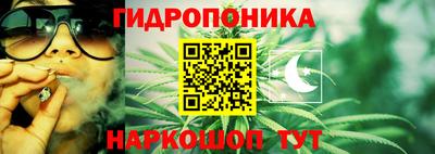кокс Аргун