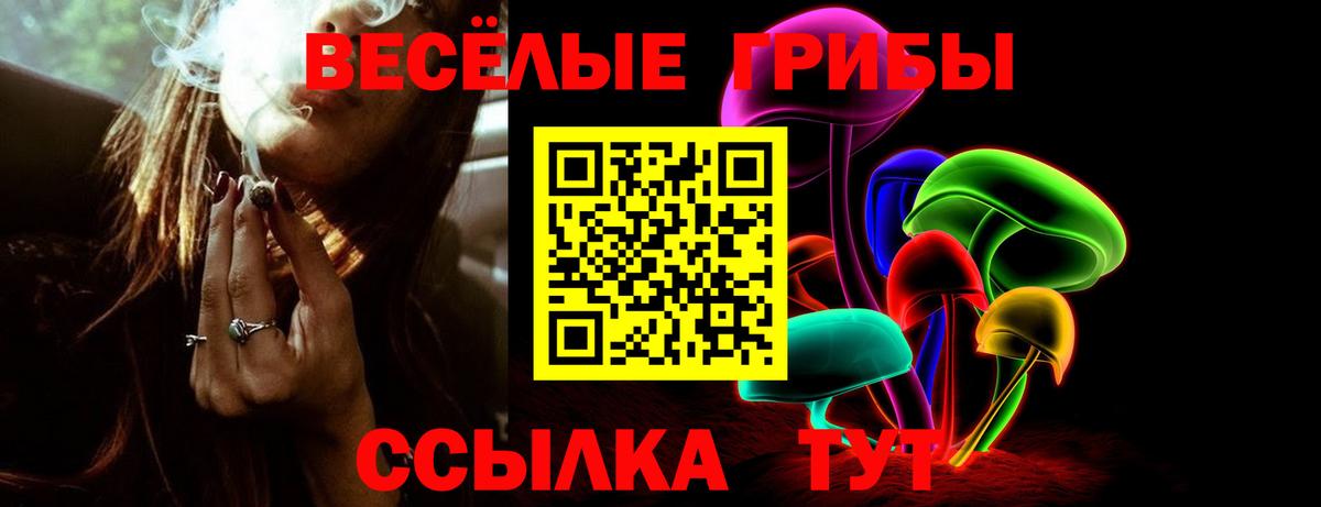 Вичуга  Псилоцибиновые грибы GOLDEN TEACHER  Вход с VPN 